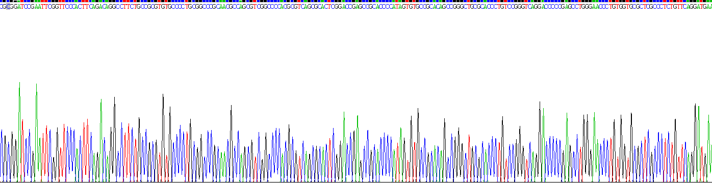 Figure. Gene Sequencing (extract)