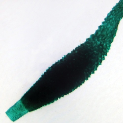 Grantia, w.m. Microscope Slide
