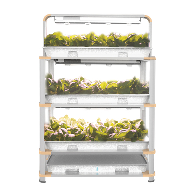 Rock Wool Resupply Kit for Hydroponic Indoor Farm