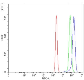 Flow cytometry testing of human U-2 OS cells with RAB9 antibody at 1ug/million cells (blocked with goat sera); Red=cells alone, Green=isotype control, Blue= RAB9 antibody.