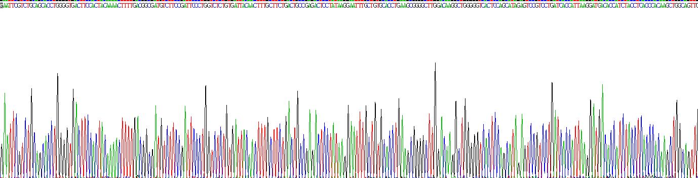 Figure. Gene Sequencing (extract)