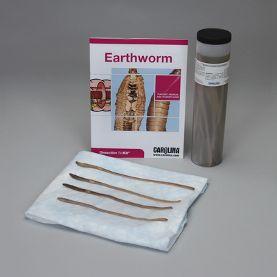 Earthworm Dissection BioKit®