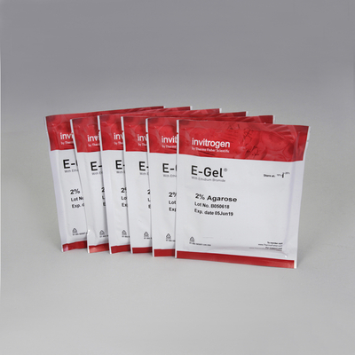 E-Gel®, 2% with Ethidium Bromide, Pack of 6