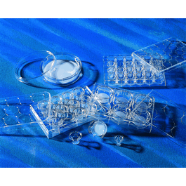 Corning® Transwell® Sterile Clear Polyester Membrane Inserts