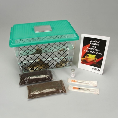 Xenopus (South African Clawed Frog) Breeding Kit with Male and Female