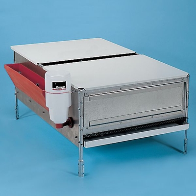 Brooder, Chicken and Quail