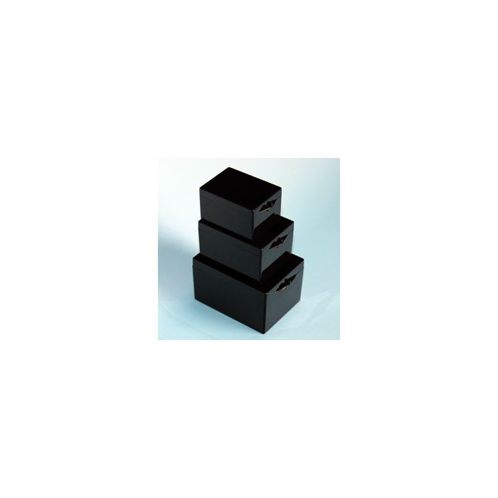 Western Blot Box (Black,Rectangle)