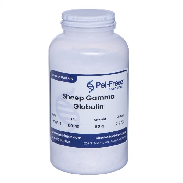 Sheep Gamma Globulin