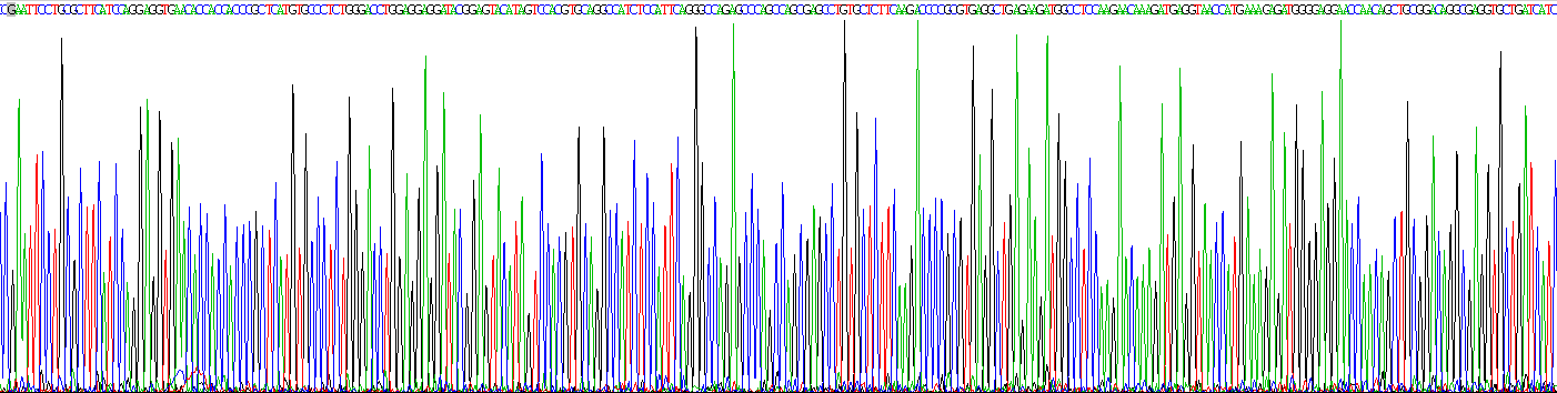 Figure. Gene Sequencing (extract)