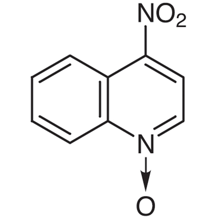 4-Nitroquinoline N-Oxide, CAS RN: 56-57-5, Product Number: N0250