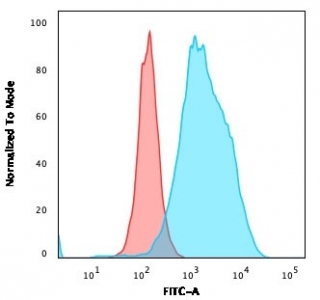 Flow cytometry testing of human Raji cells with anti-CD20 antibody (clone SPM618); Red=isotype control, Blue= anti-CD20 antibody.