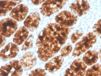 IHC staining of FFPE human colon with Intelectin 1 antibody (clone ITLN1/4065). HIER: boil tissue sections in pH 9 10mM Tris with 1mM EDTA for 20 min and allow to cool before testing.
