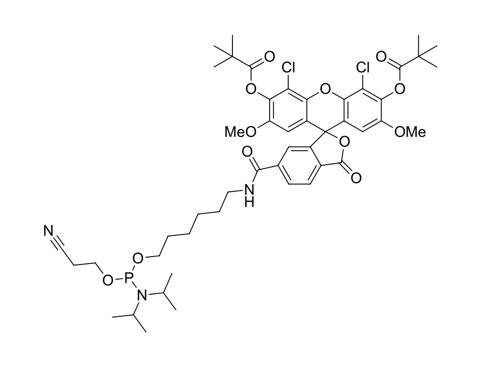 JOE phosphoramidite, 6-isomer