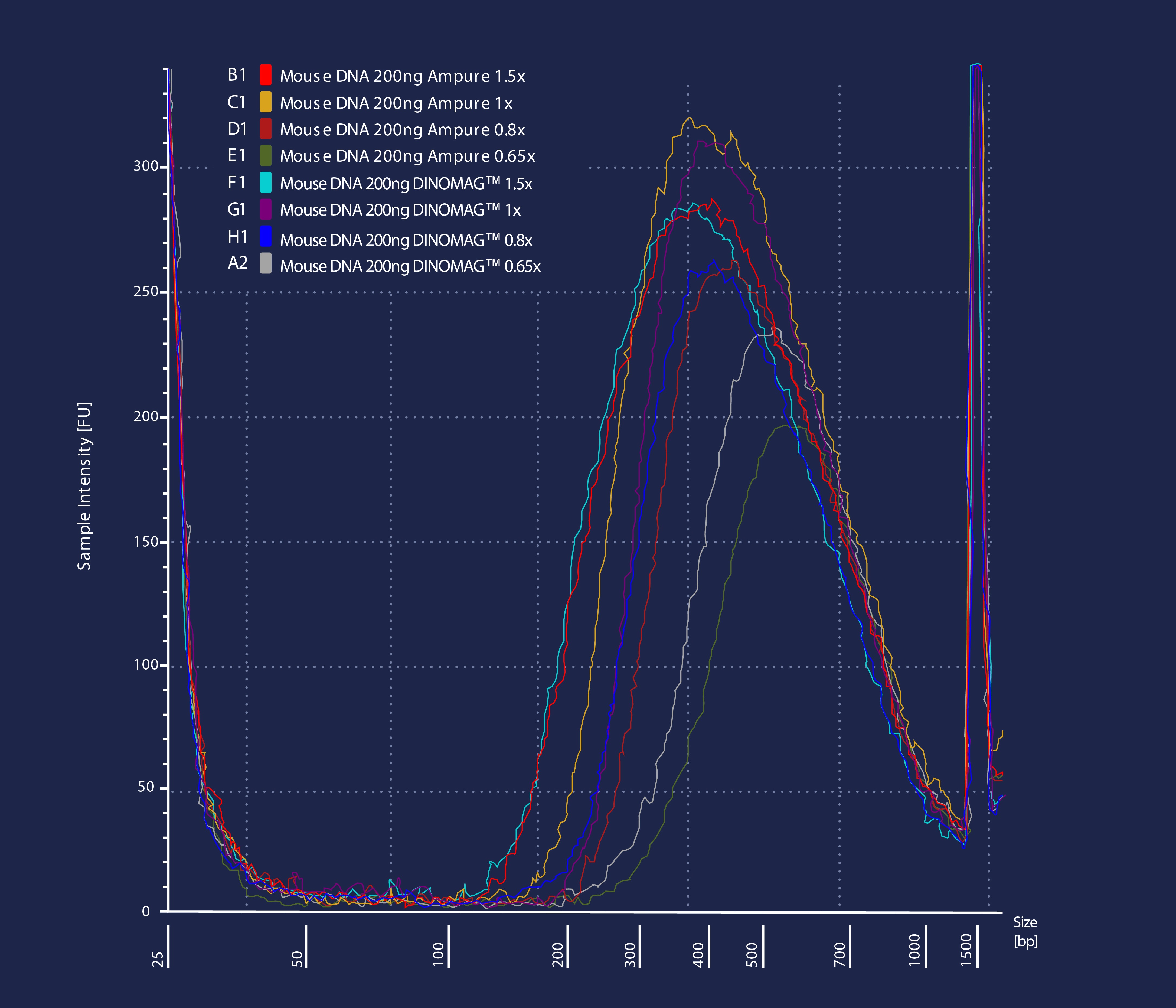 DNA size distribution curves after left-sided size selection showing a direct comparison between DINOMAG™ and AMPure® XP. Four different bead-to-sample ratios were used.