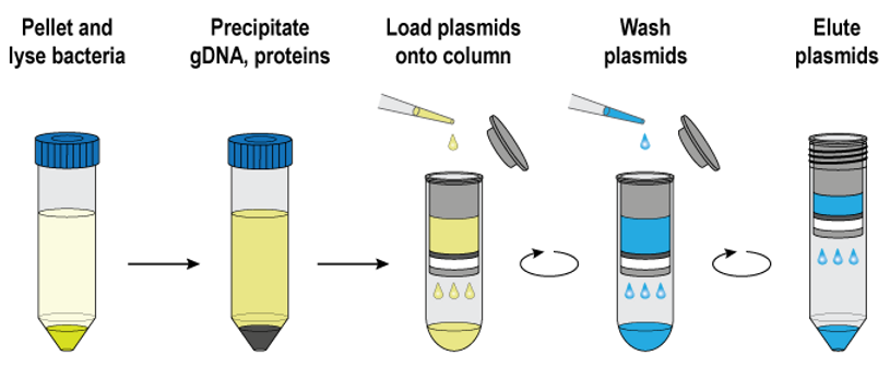 PuroSPIN™ Total RNA Purification Kit, 250 Preps