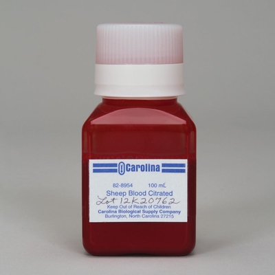 Sheep Blood, Citrated, Pooled, 100 mL