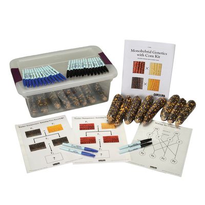 Monohybrid Genetics with Corn Kit