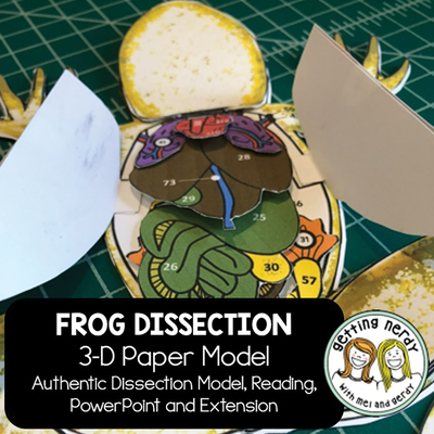 Scienstructable 3D Dissection Model®: Frog Paper Dissection