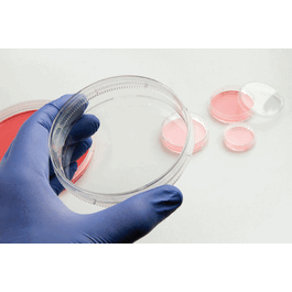 Nunc™ EasYDish™ Cell Culture Dishes
