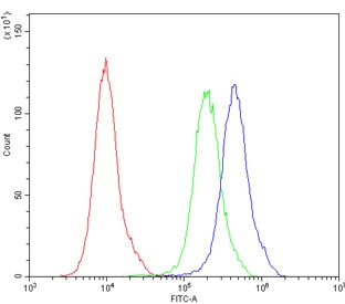 Flow cytometry testing of human PC-3 cells with Aquaporin 2 antibody at 1ug/million cells (blocked with goat sera); Red=cells alone, Green=isotype control, Blue= Aquaporin 2 antibody.