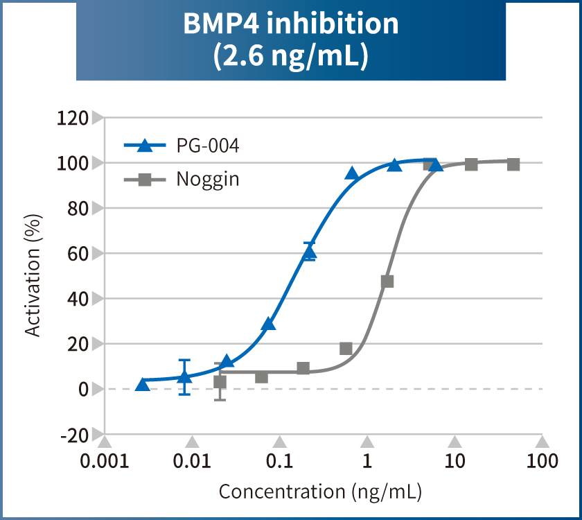 We performed a functional comparison test between our Noggin-like Peptide (PG-004) and commercially available recombinant Noggin by measuring smad1 phosphorylation. Catalog # PG-004 showed inhibitory activity against BMP4 at approximately 1/8th of the concentration of recombinant Noggin