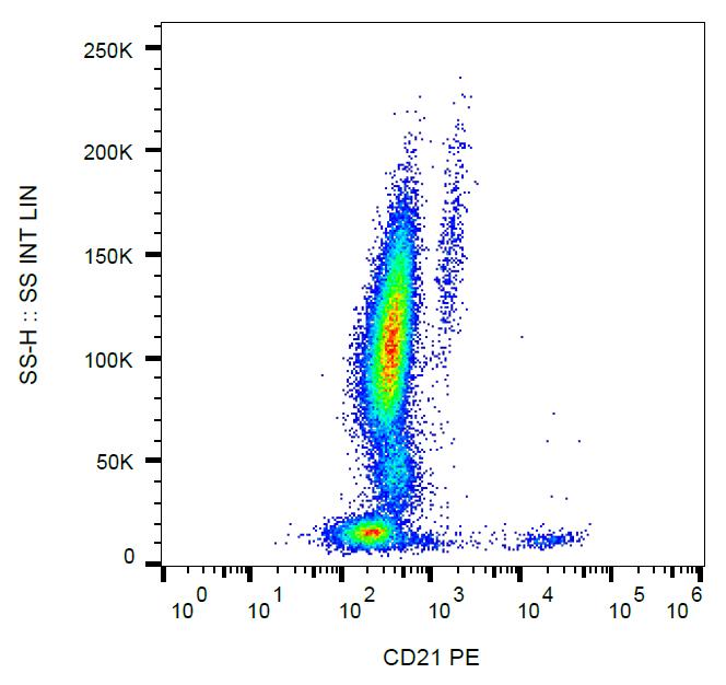 Anti-CD21 Antibody [LT21] (PE)
