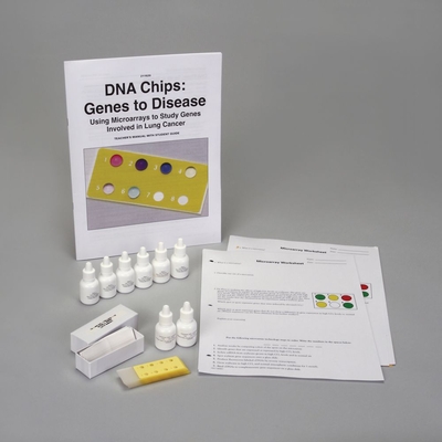 DNA Chips: Genes to Disease Kit