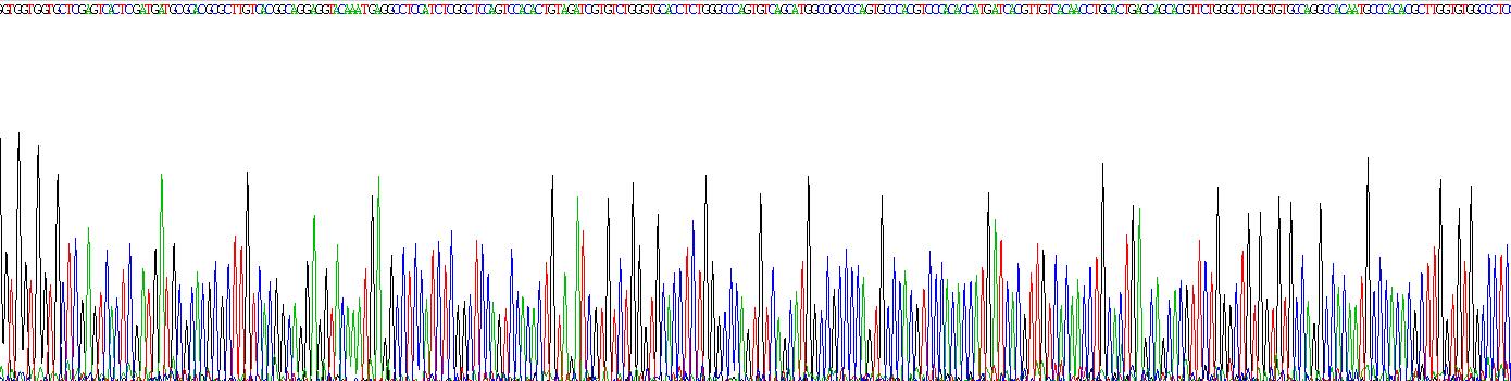 Figure. Gene Sequencing (extract)