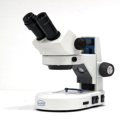Wolfe® Intermediate LED Stereomicroscope with Dual Magnification (20x and 40x)