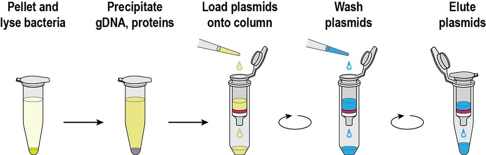 PuroMAG™ Plasmid Miniprep Kit, Magnetic, 5 Preps Trial Kit
