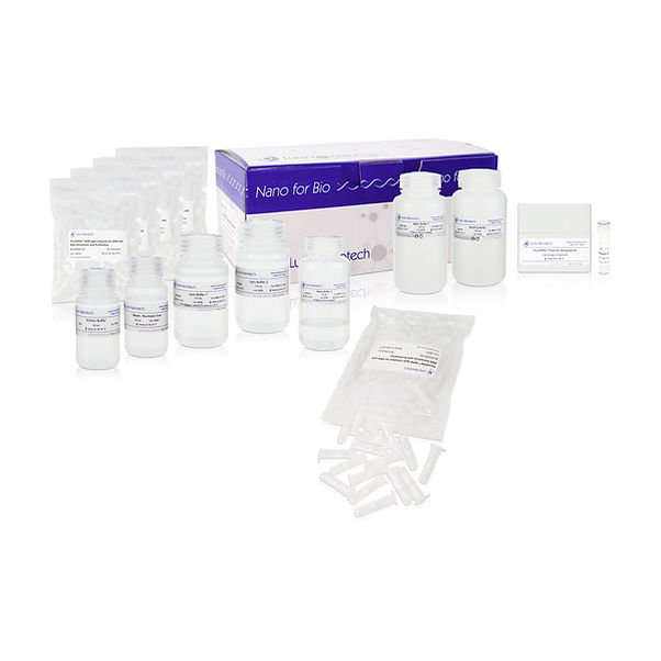 PuroSPIN™ Endo-Free Plasmid MAXIprep Kit, 10 Preps