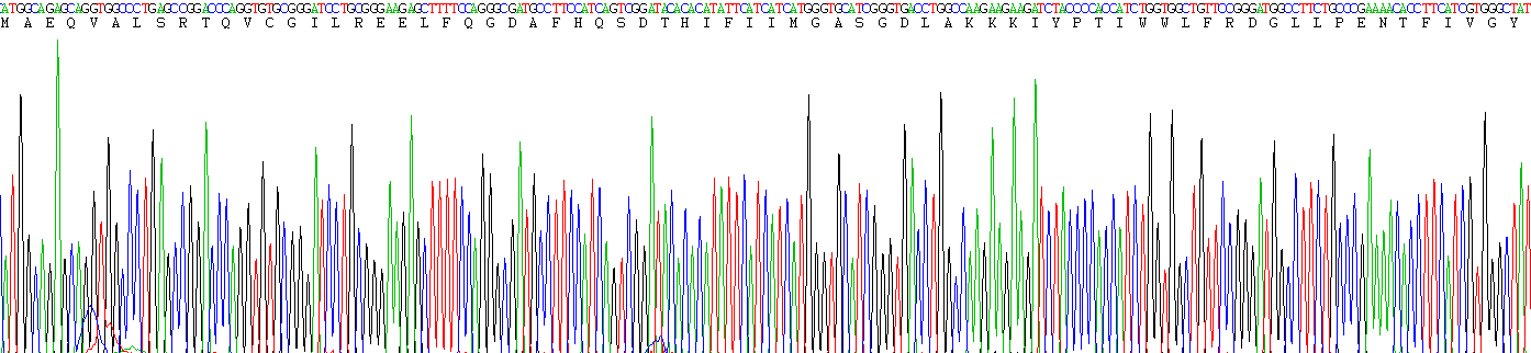 Figure. Gene Sequencing (extract)