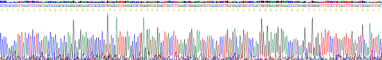 Figure. Gene Sequencing (extract)