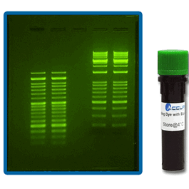 Accuris™ SmartGlow™ Pre-stain and Loading Dye