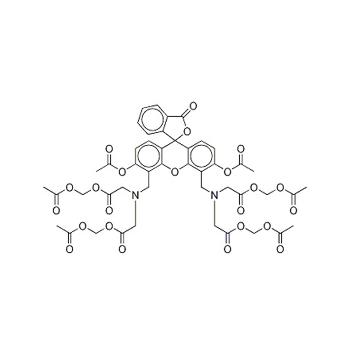 Calcein, AM UltraPure Grade, 5 mM solution in anhydrous DMSO - 200 µl