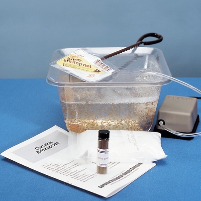 Brine Shrimp Hatchery Kit Refill
