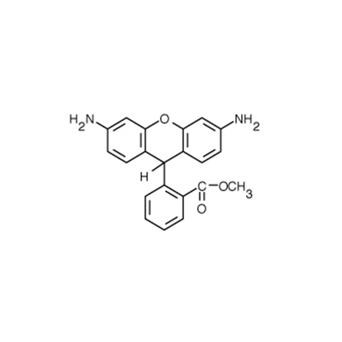 Dihydrorhodamine 123 - 10 mg
