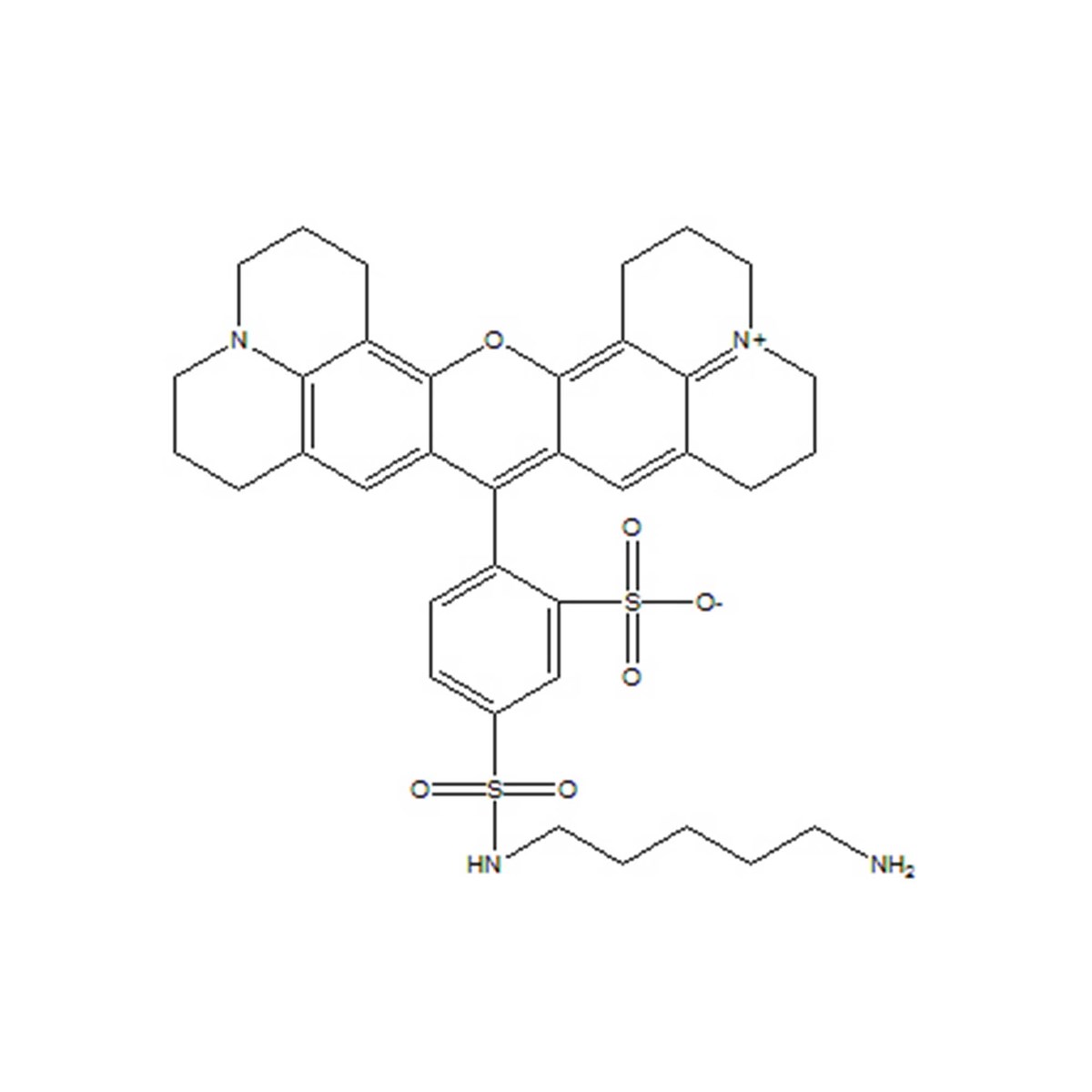 Sulforhodamine 101 cadaverine - 5 mg