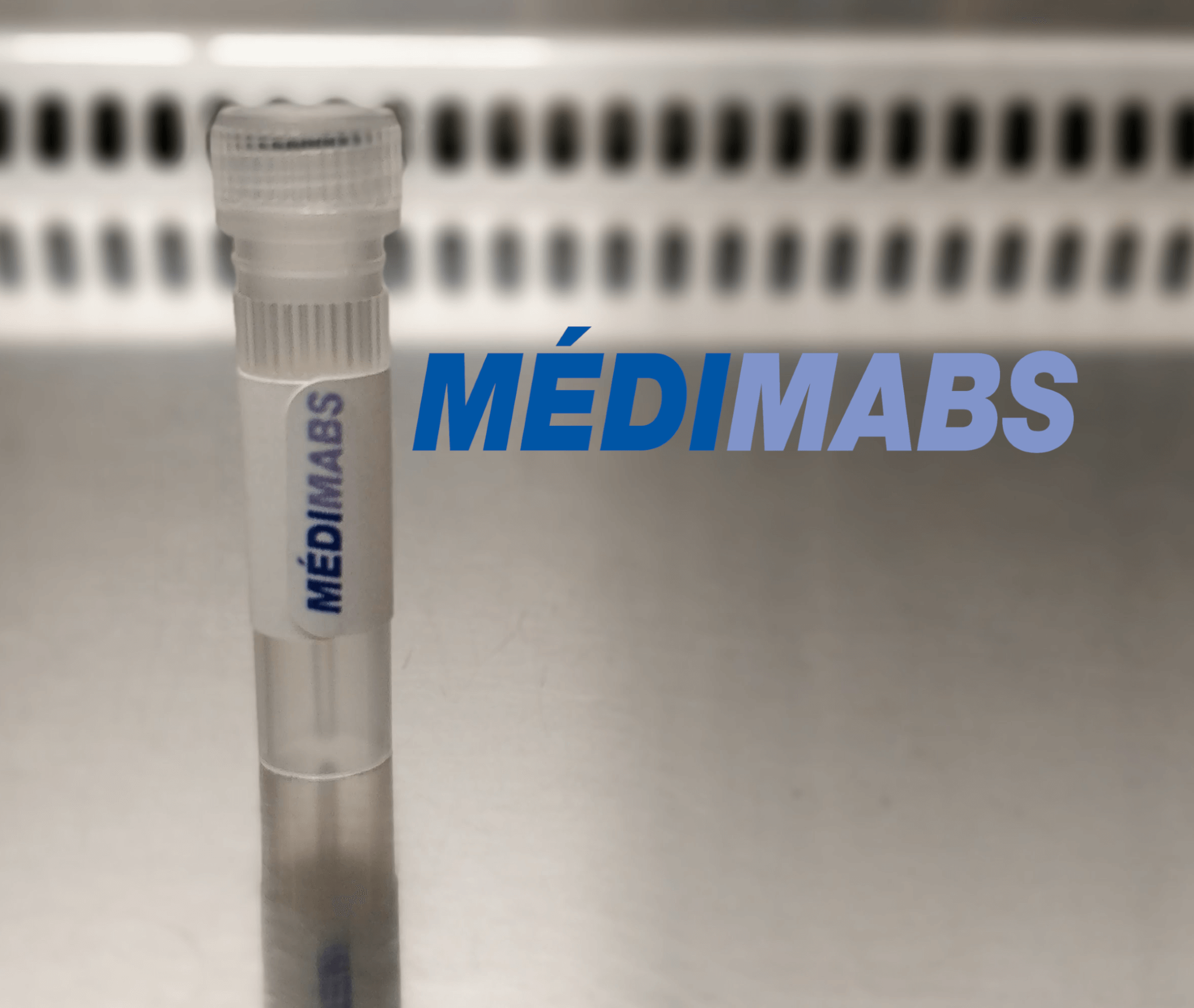 Misfolded SOD1 Mouse Monoclonal Antibody (A5C3)
