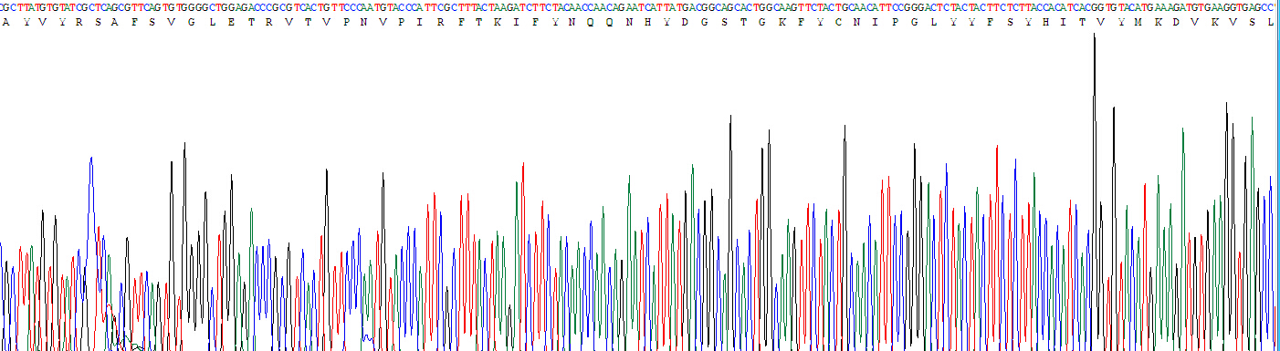 Figure. Gene Sequencing (extract)