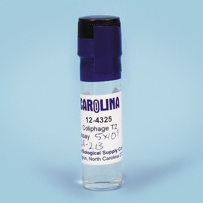 Coliphage φX174, Living, 5 mL