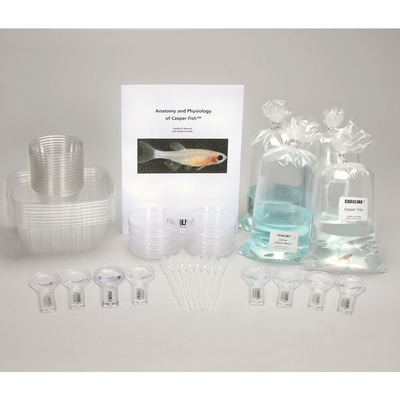 Carolina® Genetics of the Casper Fish™ Basic Kit (without aquarium and accessories, with living material)