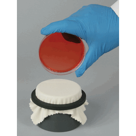 SP Bel-Art™ Colony Replica-Plating Device for Petri-Dishes