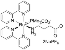 RuBi-Glutamate | Caged glutamate compound| Hello Bio