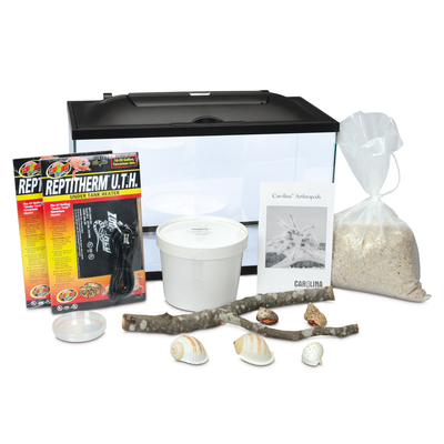 Land Hermit Crab Terrarium Habitat Kit (with perishables)