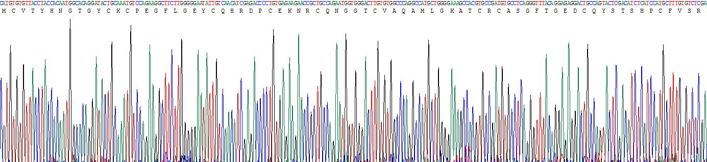 Figure. Gene Sequencing (extract)