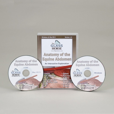 The Glass Horse: Anatomy of the Equine Abdomen CD-ROM