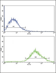 Flow cytometric analysis of Jurkat cells using DDR2 antibody (bottom histogram) compared to a <a href=../search_result.php?search_txt=n1001>negative control</a> (top histogram). FITC-conjugated goat-anti-rabbit secondary Ab was used for the analysis.
