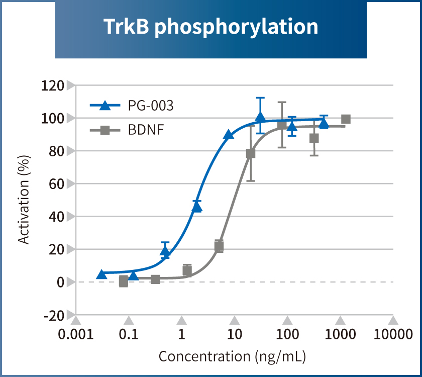 We performed a functional comparison test between our BDNF Alternative Peptide (PG-003) and commercially available recombinant BDNF. Catalog # PG-003 promoted phosphorylation of TrkB receptor at approximately 1/2.5th the concentration of recombinant BDNF.