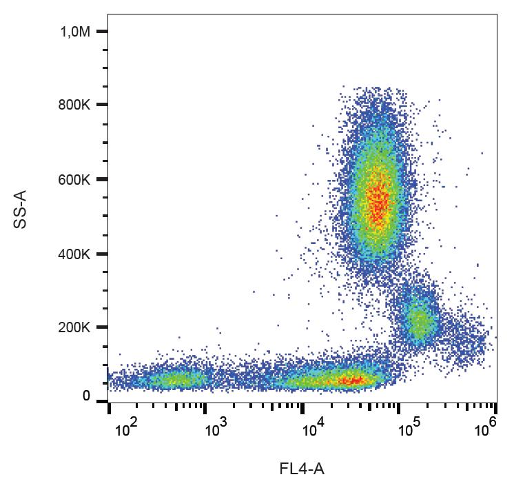 Anti-CD31 Antibody [MEM-05] (PE-Cyanine 5)